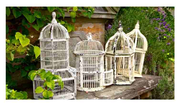 How to paint a birdcage