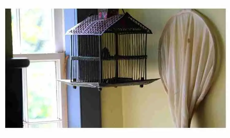How to make a folded birdcage