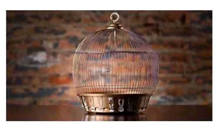 How to make a birdcage with waste material