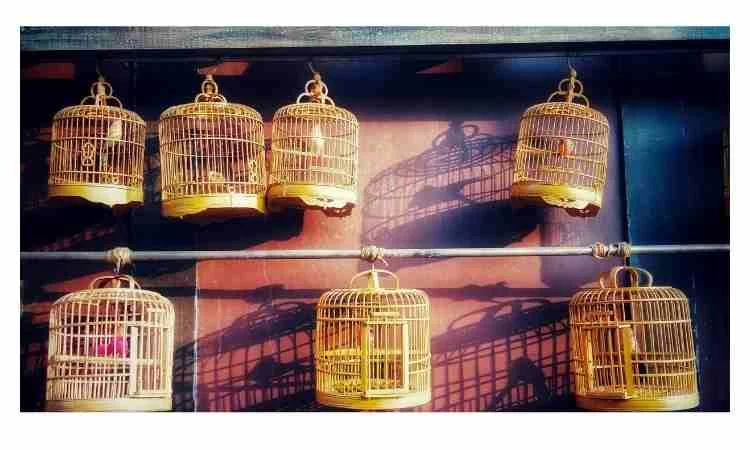 How to make a miniature birdcage
