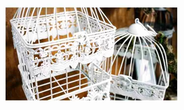 How to paint a birdcage