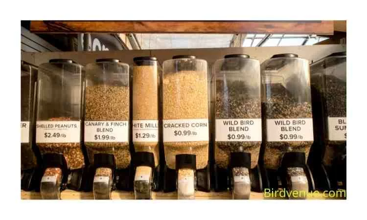 Keep birdseed inside the closed container