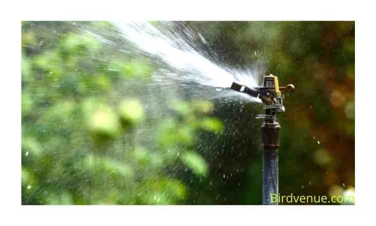  Use a water sprinkler system
