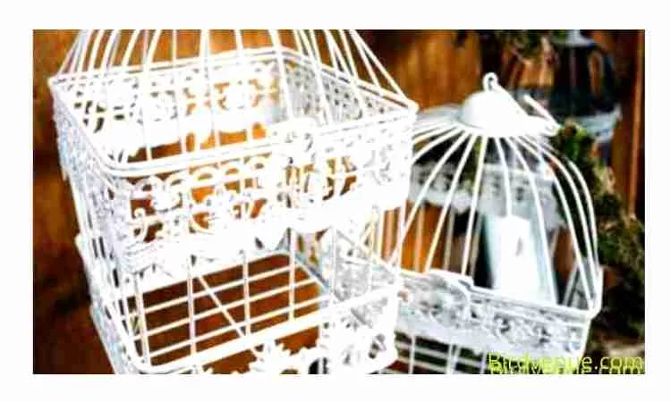 How to decorate a birdcage for a wedding