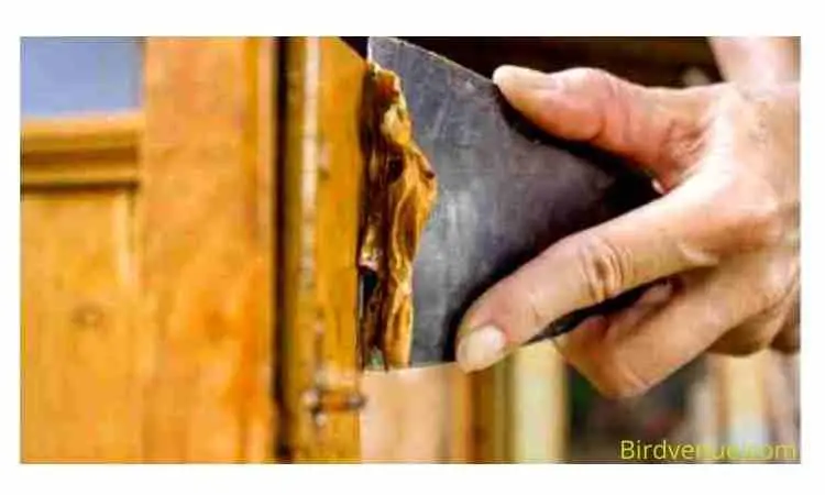 Remove old paint from birdcage