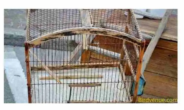 How to repaint an old birdcage