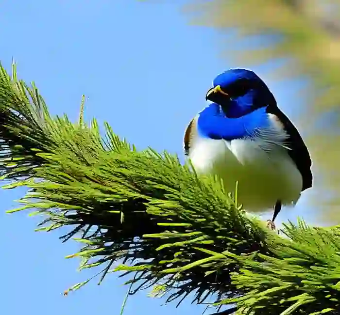 Nest Destruction And Its Impact on Bird Population Dynamics