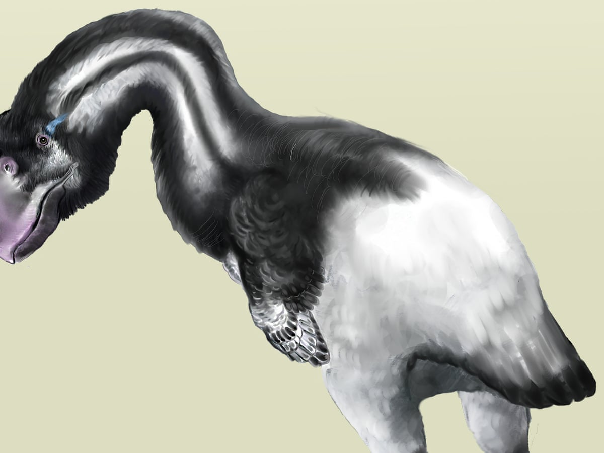 largest flying bird in the world name