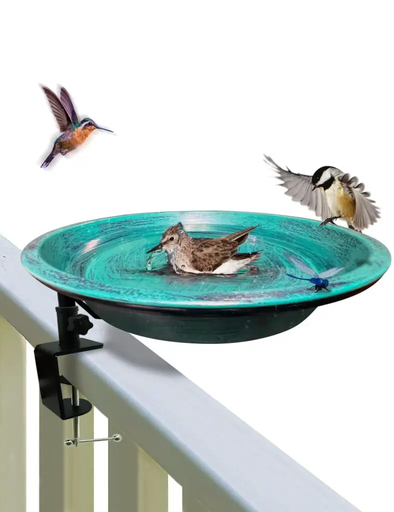 Bird Feeders For Apartment Balconies: Transform Your Balcony Into A ...