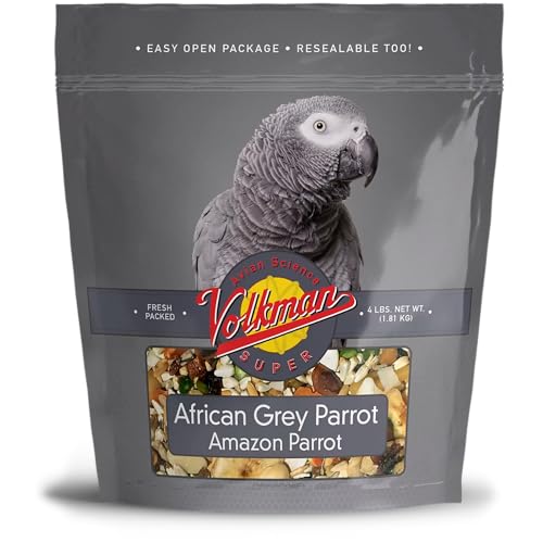 Best African Grey Parrot Food