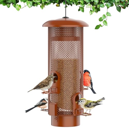 Best Anti Squirrel Bird Feeder