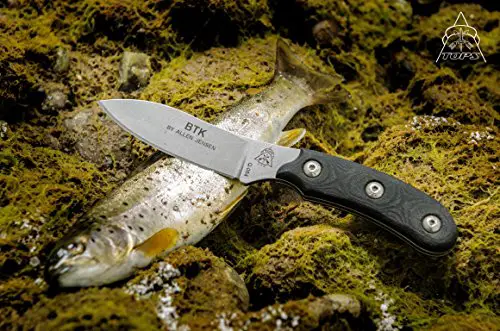 Best Bird And Trout Knife