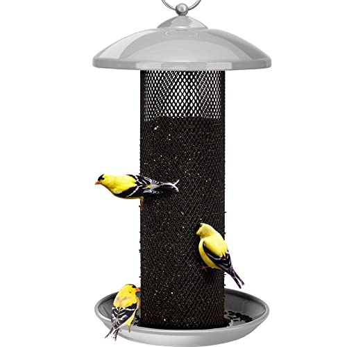 Best Bird Feeder for Goldfinches