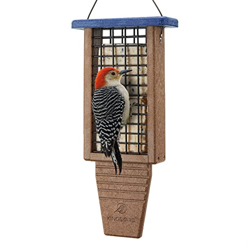 Best Bird Feeder for Woodpeckers