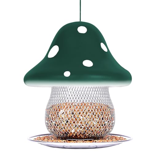 Best Bird Feeders for Cardinals And Blue Jays