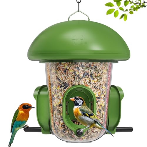 Best Bird Feeders for Rainy Weather