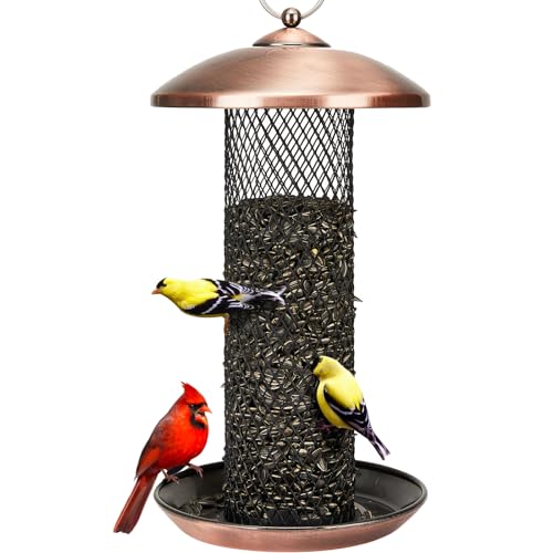 Best Bird Feeders for Sunflower Seeds