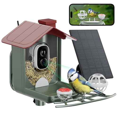 Best Bird Feeders With Camera