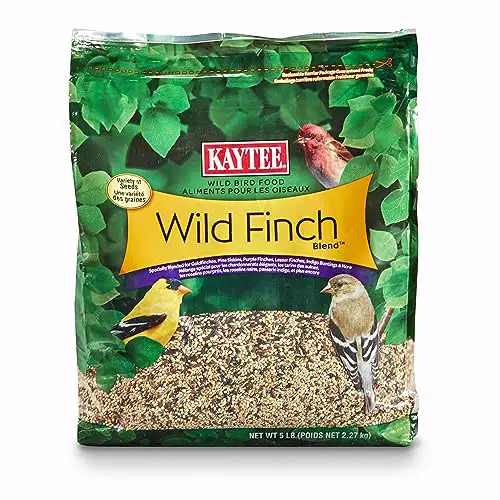 Best Bird Food for Finches