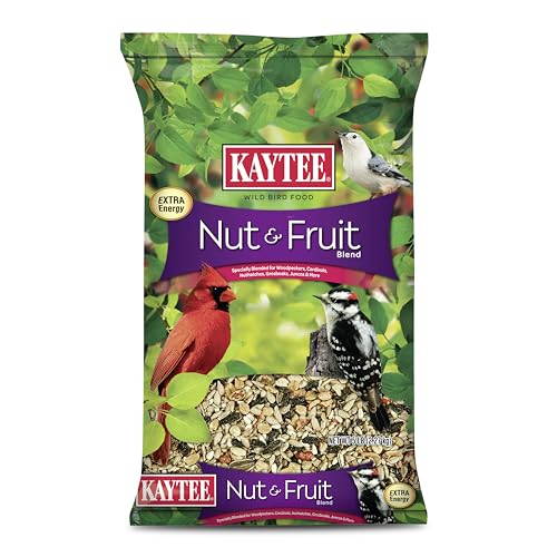 Best Bird Food for Winter