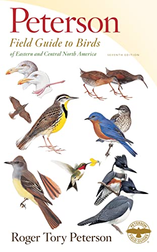 Best Bird Identification Books