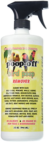 Best Cleaner for Bird Droppings