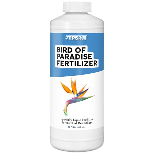 Best Fertilizer for Bird of Paradise