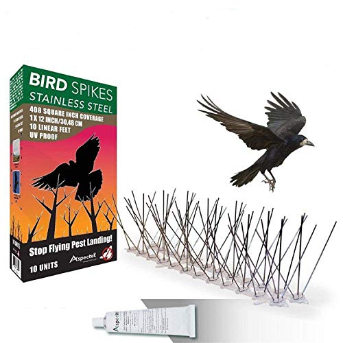 Best Glue for Bird Spikes