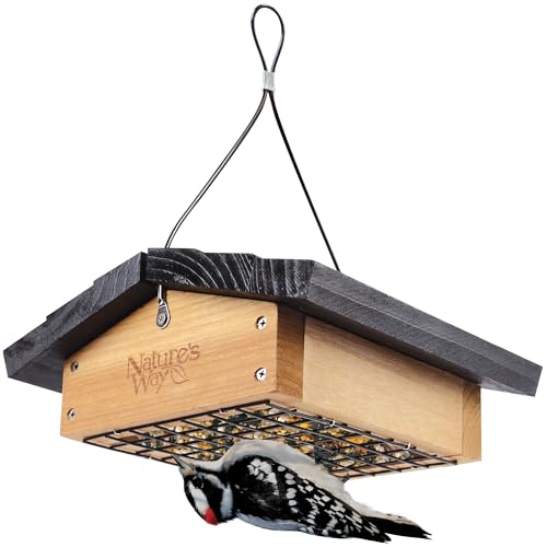 Best Grackle Proof Bird Feeder