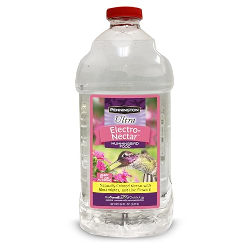 Best Humming Bird Food