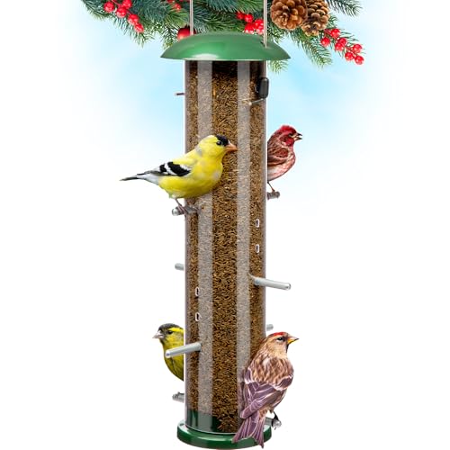 Best Nyjer Seed Bird Feeders