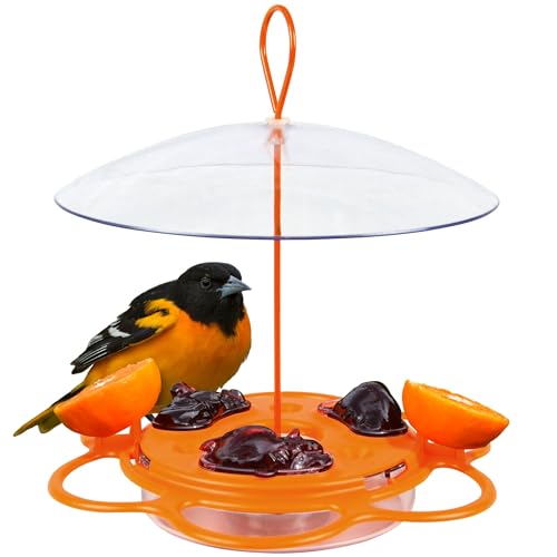 Best Oriole Bird Feeder