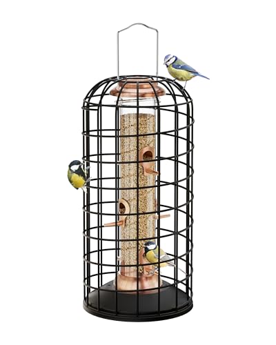 Best Pigeon Proof Bird Feeder