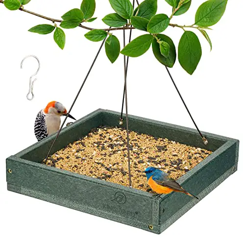 Best Platform Bird Feeder