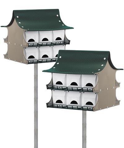 Best Purple Martin Bird House