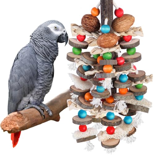 Best Toys for African Grey Parrots