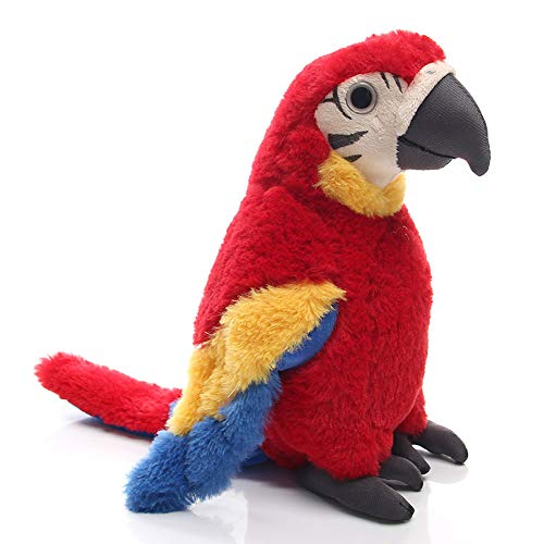 Best Toys for Macaws