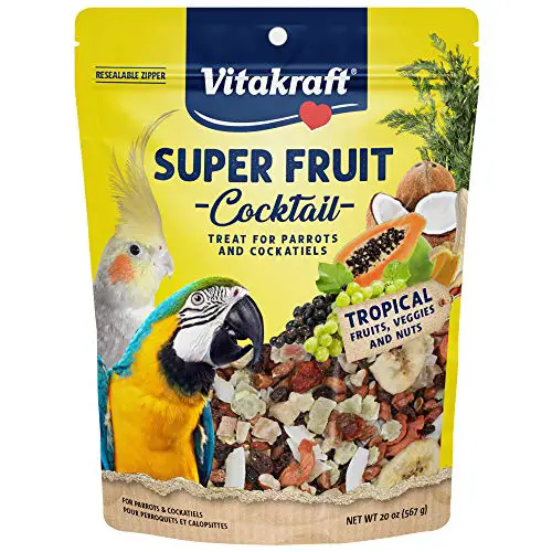 Best Treats for Quaker Parrots