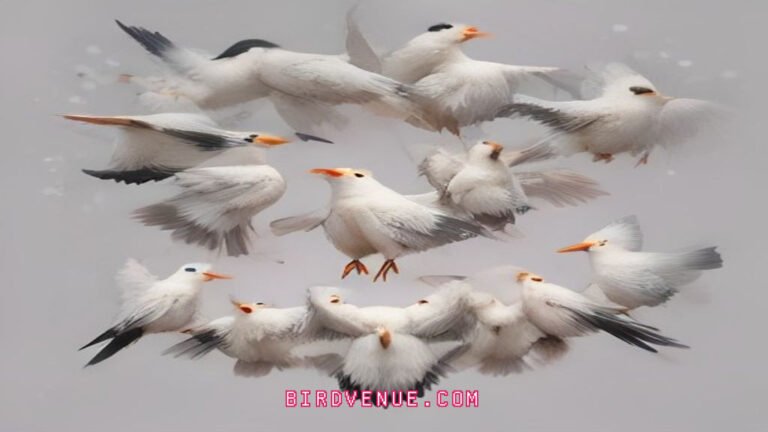 Brood Parasites: The Sneaky Birds That Trick Others Into Raising Their Young