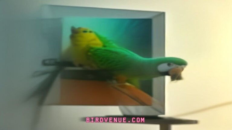 Parrot Adoption Scams Exposed: How to Spot Fake Rescues