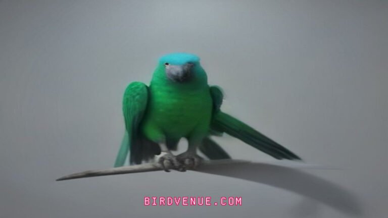 Proven Parrot Training Secrets: Get Your Bird Talking Like Never Before
