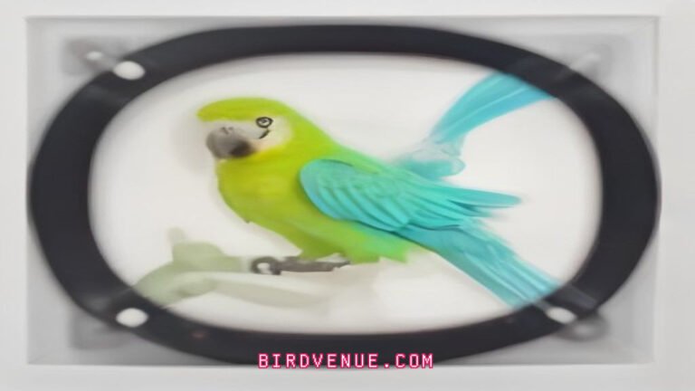 Unlock Your Parrot’s Brilliance With Smart Enrichment Toys