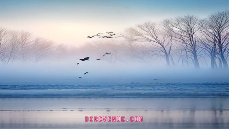 Unmissable Seasonal Birding Trails for Spectacular Migratory Bird Watching