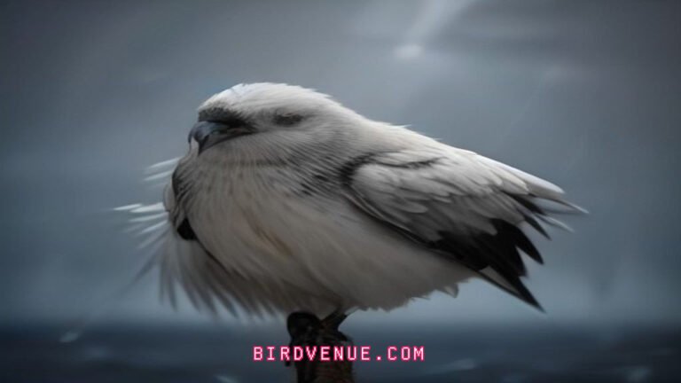 Where Do Birds Go During Hurricanes? Survival Secrets Revealed