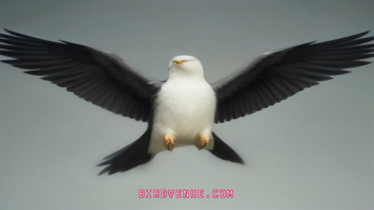 Which Bird Has the Largest Wingspan? The Ultimate Guide