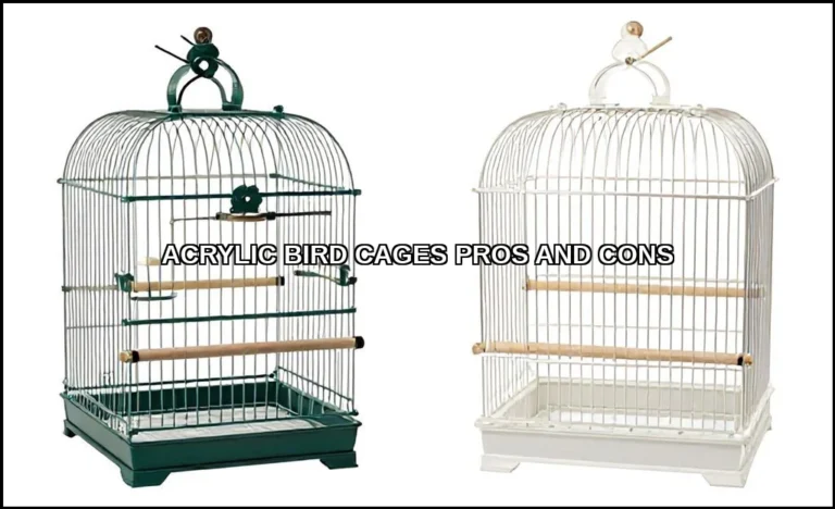 Acrylic bird cages pros and cons