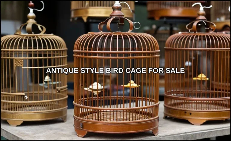 Antique style bird cage for sale