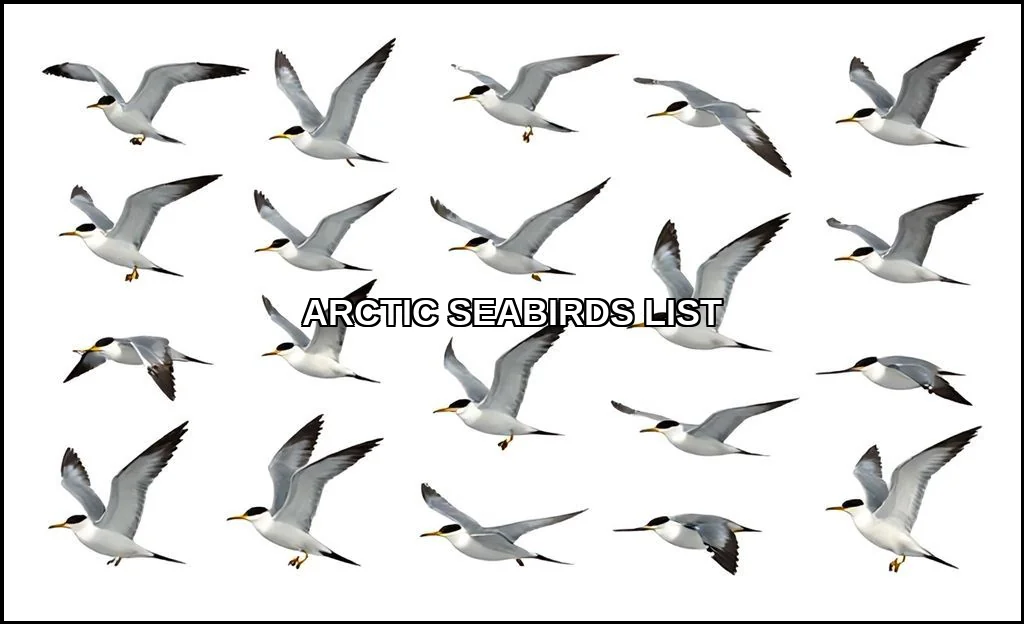 Arctic seabirds list
