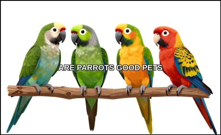 Are parrots good pets