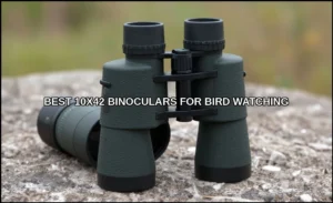 Best 10x42 binoculars for bird watching